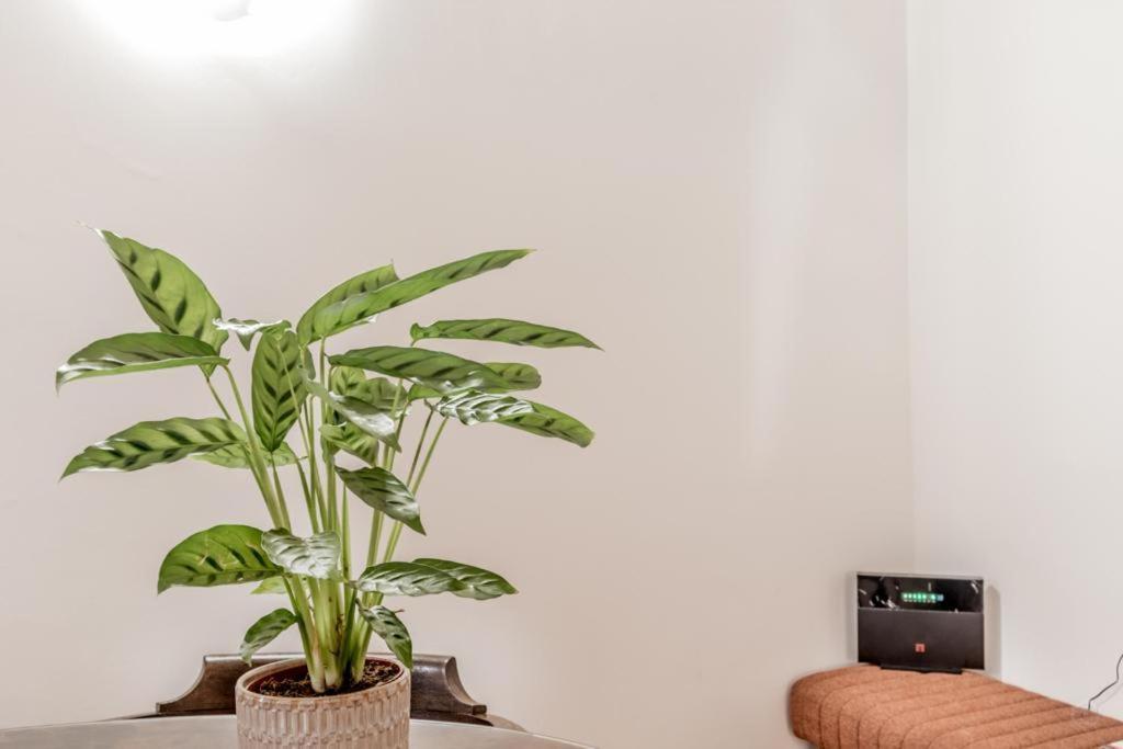 Casa Ghetto 13 Apartment Roma Ngoại thất bức ảnh